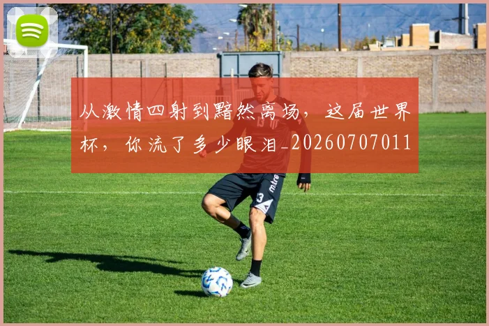 从激情四射到黯然离场，这届世界杯，你流了多少眼泪_20260707011621