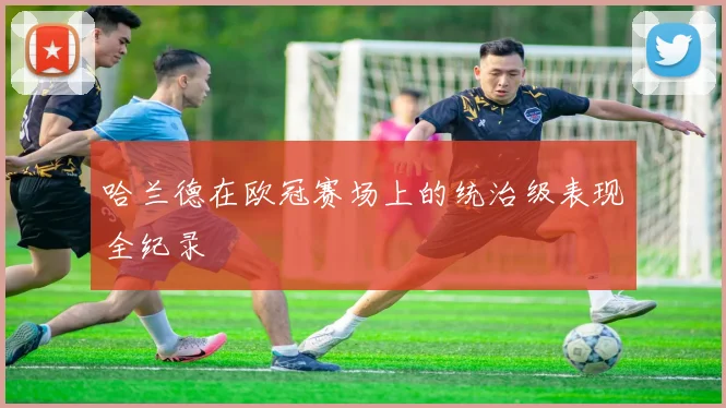 哈兰德在欧冠赛场上的统治级表现全纪录