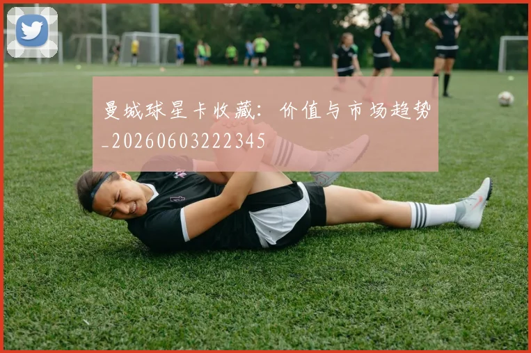 曼城球星卡收藏：价值与市场趋势_20260603222345